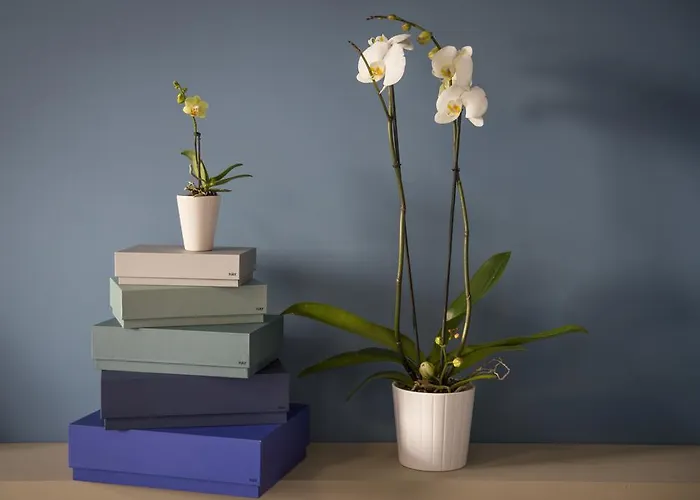 Aurum Bicocca 4* ミラノ